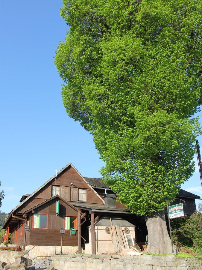 Pod Lipou Hotel Dolni Brusnice Exterior photo